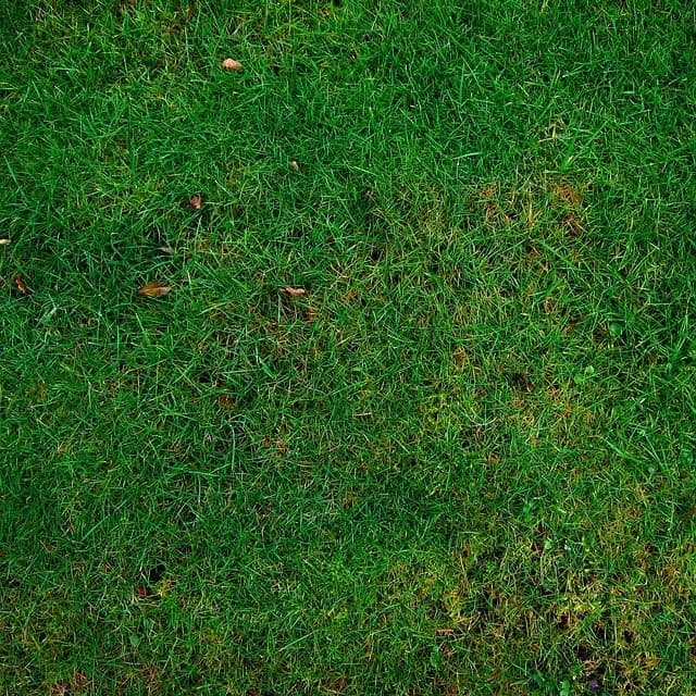 Comment Voyager Minimaliste en Respectant l'Environnement