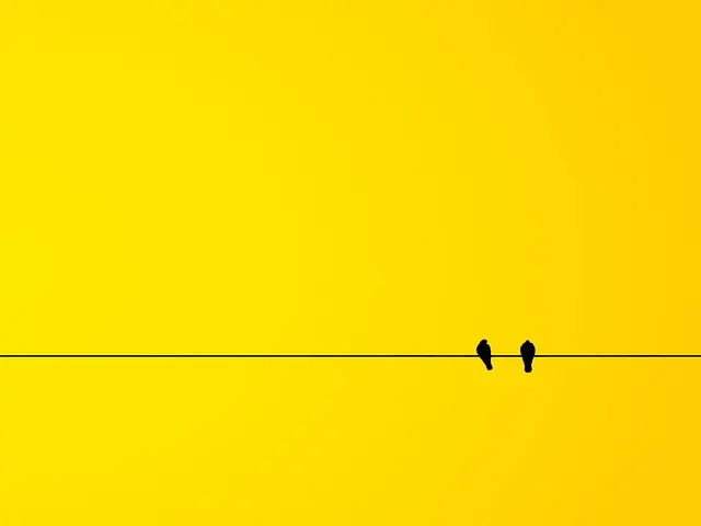 Comment Maximiser votre Temps en Voyage Minimaliste