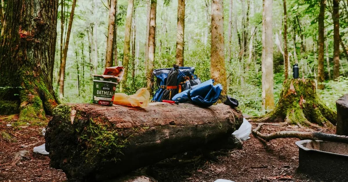 Comment Voyager Minimaliste Tout en Respectant l'Environnement