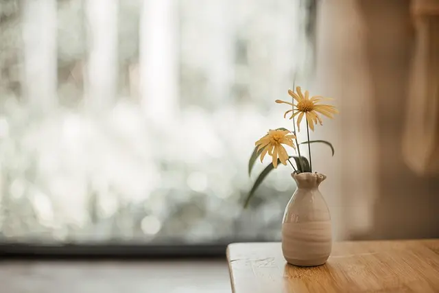Comment Voyager Minimaliste en Respectant votre Budget