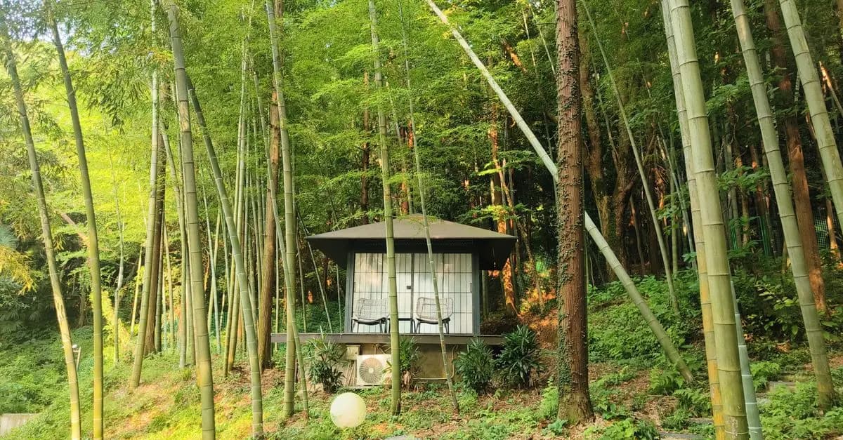 Minimalisme Voyage : Comment Choisir un Hébergement Éthique