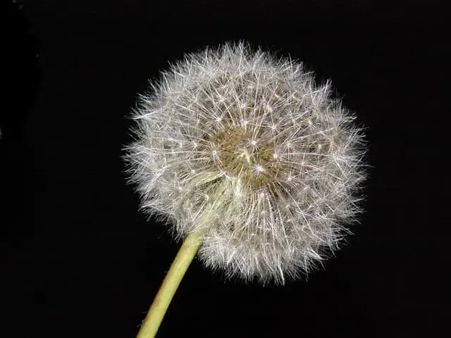 Guide Pratique pour Voyager Minimaliste avec Confiance