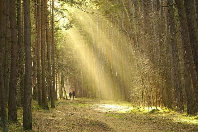 Comment Voyager Minimaliste Tout en Respectant l'Environnement