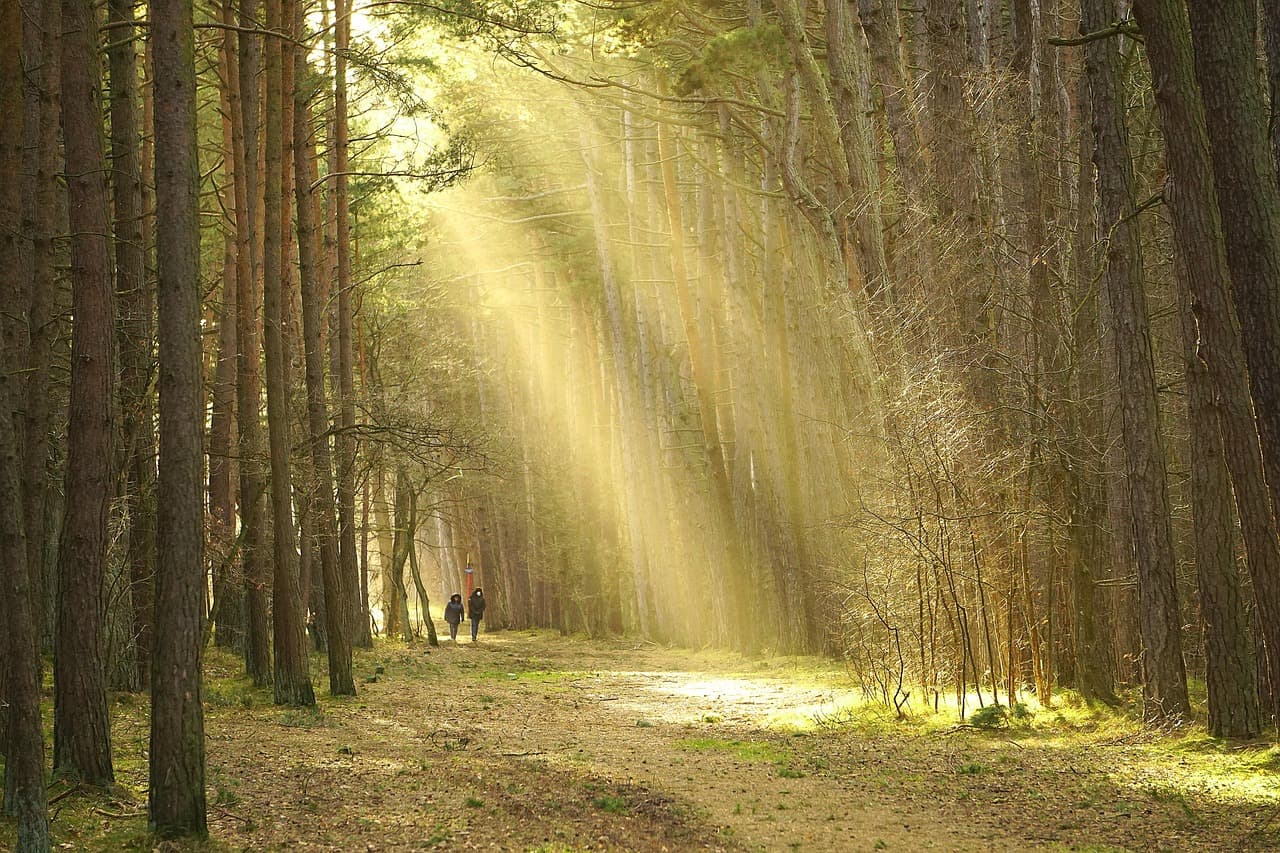 Comment Voyager Minimaliste : Les Clés pour Réussir