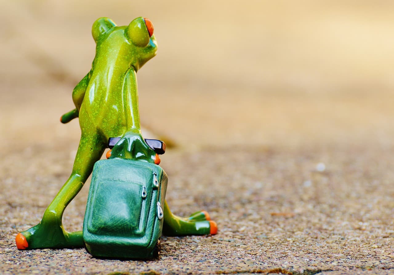 L'art de voyager léger : 7 conseils pratiques